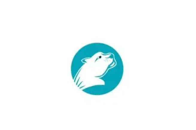 2025年猎豹加速器试用一小时App官网下载-猎豹加速器使用体验评测